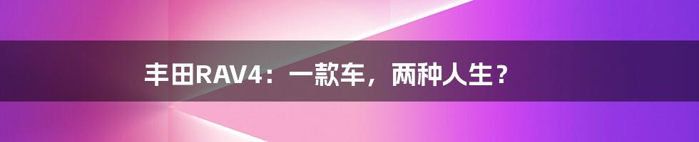 丰田RAV4：一款车，两种人生？