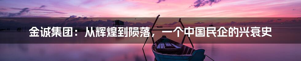 金诚集团:从辉煌到陨落,一个中国民企的兴衰史