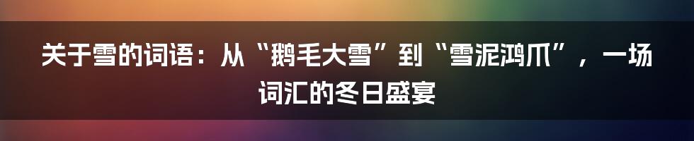 关于雪的词语:从“鹅毛大雪”到“雪泥鸿爪”,一场词汇的冬日盛宴