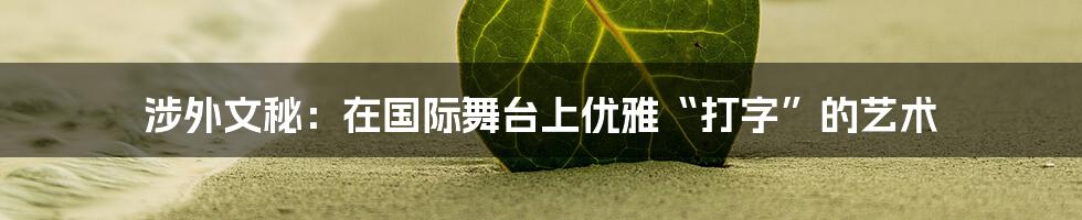 涉外文秘：在国际舞台上优雅“打字”的艺术