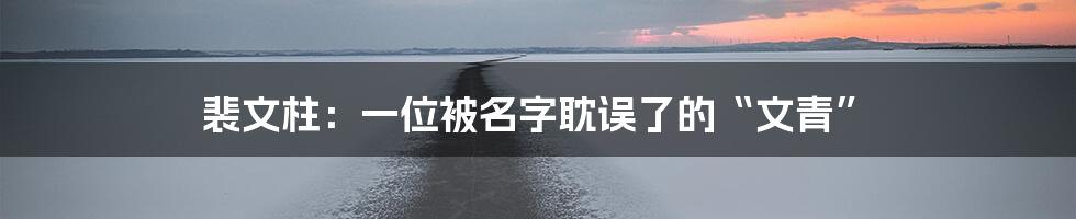 裴文柱：一位被名字耽误了的“文青”