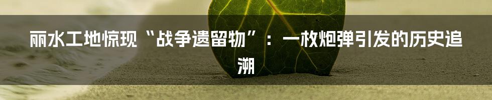 丽水工地惊现“战争遗留物”：一枚炮弹引发的历史追溯