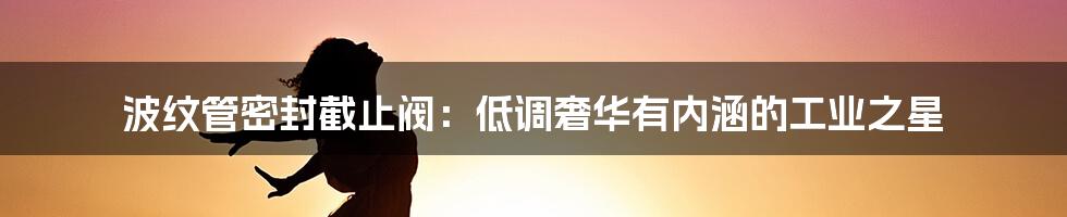波纹管密封截止阀：低调奢华有内涵的工业之星