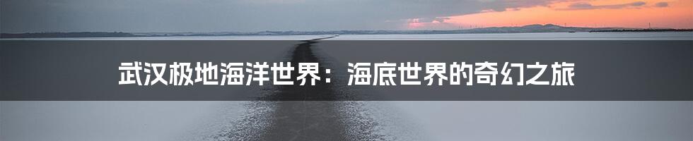 武汉极地海洋世界：海底世界的奇幻之旅