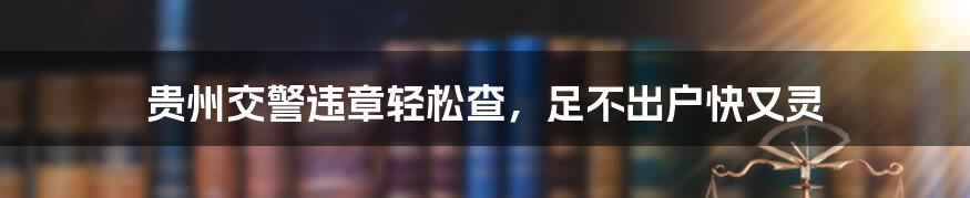 贵州交警违章轻松查,足不出户快又灵