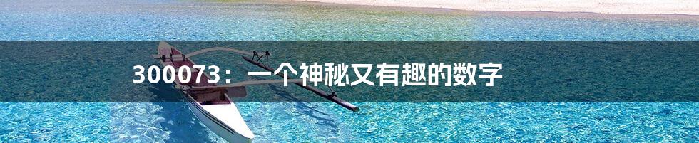 300073：一个神秘又有趣的数字