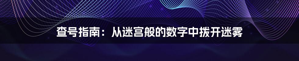 查号指南：从迷宫般的数字中拨开迷雾