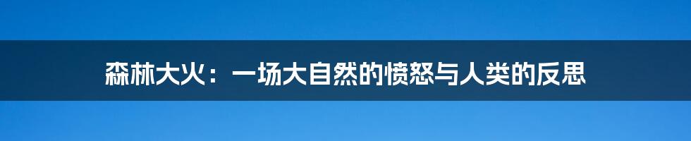 森林大火:一场大自然的愤怒与人类的反思