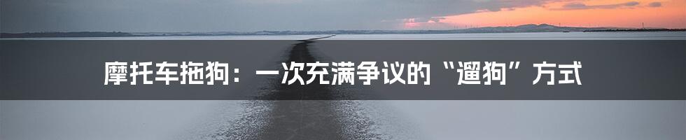 摩托车拖狗:一次充满争议的“遛狗”方式