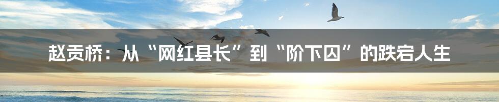 赵贡桥:从“网红县长”到“阶下囚”的跌宕人生