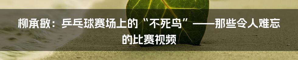 柳承敏：乒乓球赛场上的“不死鸟”——那些令人难忘的比赛视频