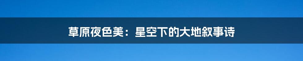 草原夜色美:星空下的大地叙事诗