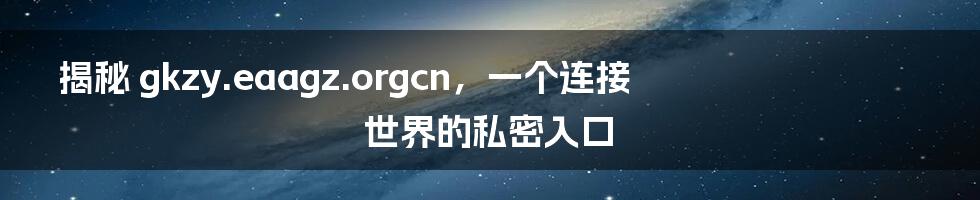 揭秘 gkzy.eaagz.orgcn,一个连接世界的私密入口