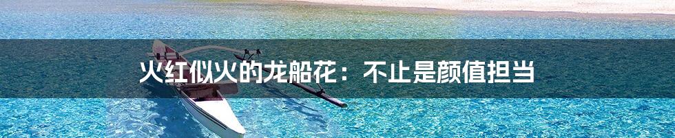 火红似火的龙船花:不止是颜值担当