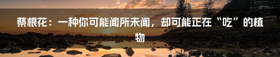 蔡根花:一种你可能闻所未闻,却可能正在“吃”的植物