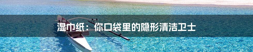 湿巾纸:你口袋里的隐形清洁卫士