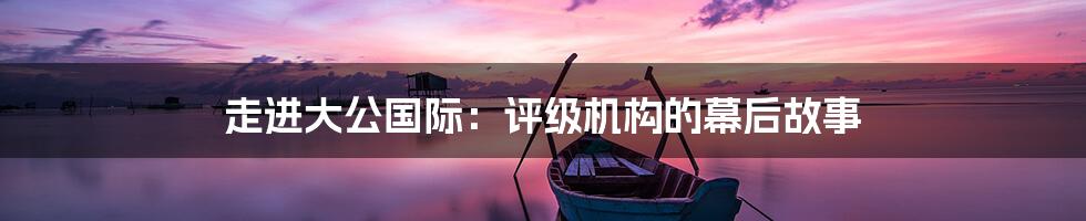 走进大公国际:评级机构的幕后故事