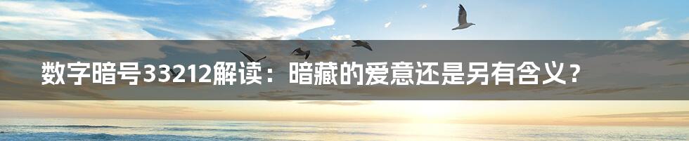 数字暗号33212解读:暗藏的爱意还是另有含义?