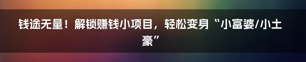 钱途无量!解锁赚钱小项目,轻松变身“小富婆/小土豪”