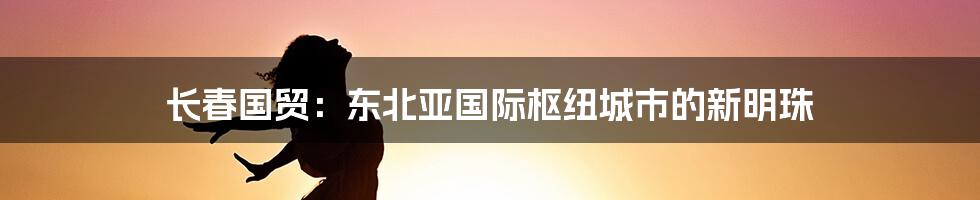 长春国贸:东北亚国际枢纽城市的新明珠