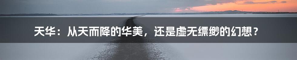 天华：从天而降的华美，还是虚无缥缈的幻想？