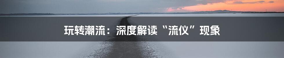 玩转潮流:深度解读“流仪”现象