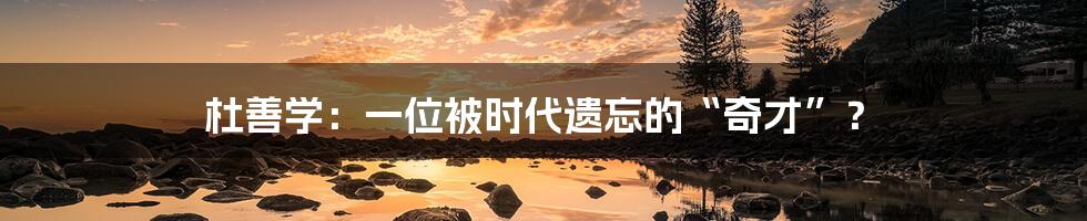 杜善学:一位被时代遗忘的“奇才”?
