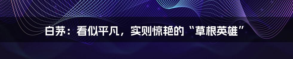 白茅:看似平凡,实则惊艳的“草根英雄”