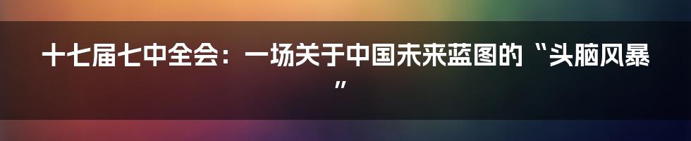 十七届七中全会：一场关于中国未来蓝图的“头脑风暴”