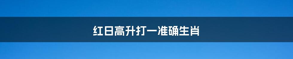 红日高升打一准确生肖