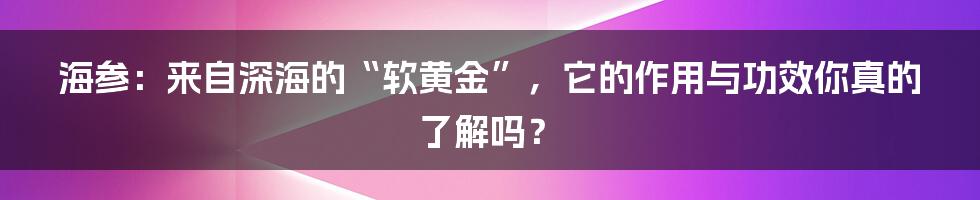 海参:来自深海的“软黄金”,它的作用与功效你真的了解吗?