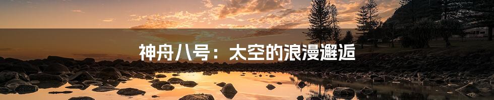 神舟八号:太空的浪漫邂逅