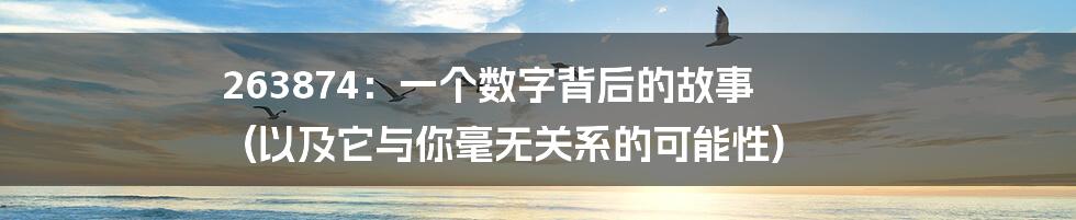 263874：一个数字背后的故事 (以及它与你毫无关系的可能性)