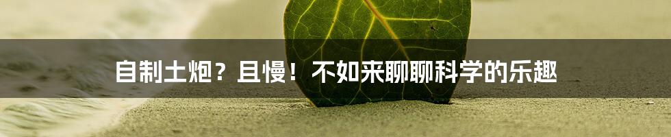 自制土炮?且慢!不如来聊聊科学的乐趣