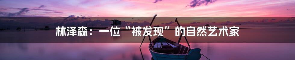 林泽森:一位“被发现”的自然艺术家