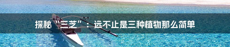 探秘“三芝”：远不止是三种植物那么简单