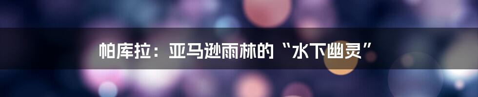 帕库拉:亚马逊雨林的“水下幽灵”