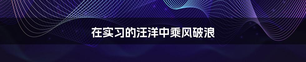 在实习的汪洋中乘风破浪
