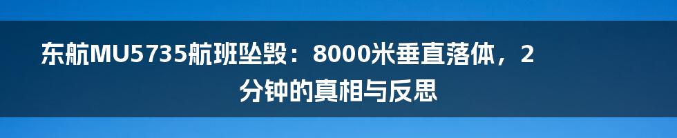 东航MU5735航班坠毁:8000米垂直落体,2分钟的真相与反思