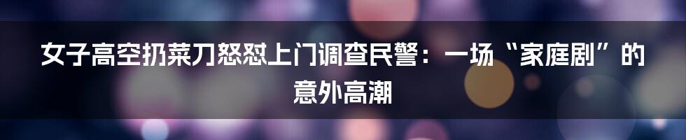 女子高空扔菜刀怒怼上门调查民警:一场“家庭剧”的意外高潮