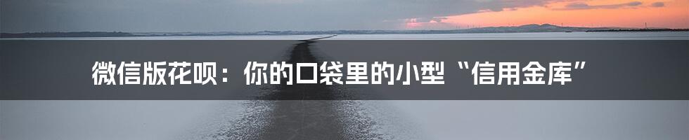 微信版花呗:你的口袋里的小型“信用金库”