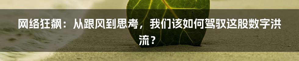 网络狂飙：从跟风到思考，我们该如何驾驭这股数字洪流？