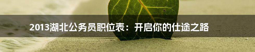 2013湖北公务员职位表:开启你的仕途之路