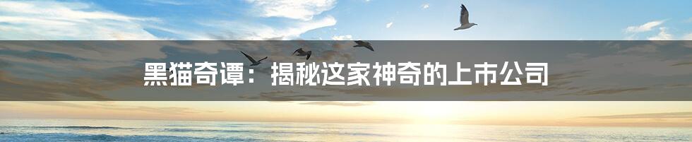 黑猫奇谭:揭秘这家神奇的上市公司