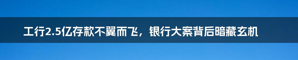 工行2.5亿存款不翼而飞,银行大案背后暗藏玄机