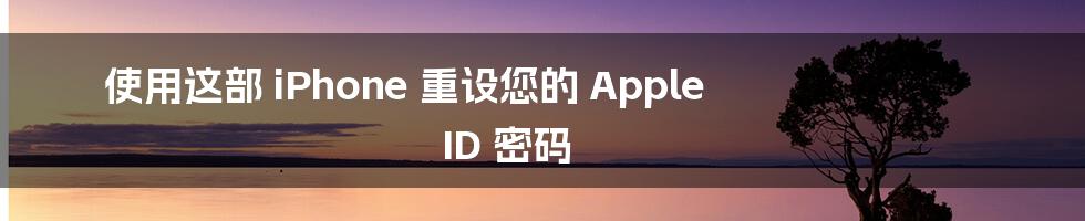 使用这部 iPhone 重设您的 Apple ID 密码