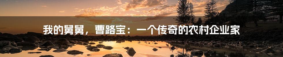 我的舅舅，曹路宝：一个传奇的农村企业家