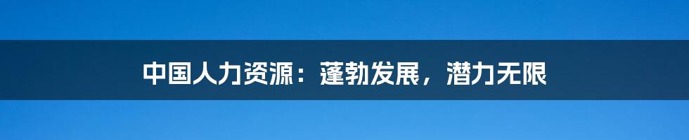 中国人力资源:蓬勃发展,潜力无限
