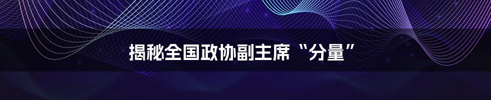 揭秘全国政协副主席“分量”