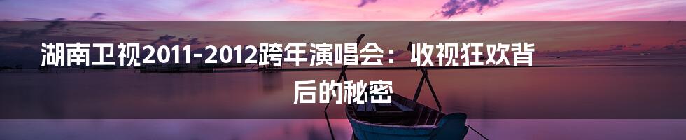 湖南卫视2011-2012跨年演唱会:收视狂欢背后的秘密